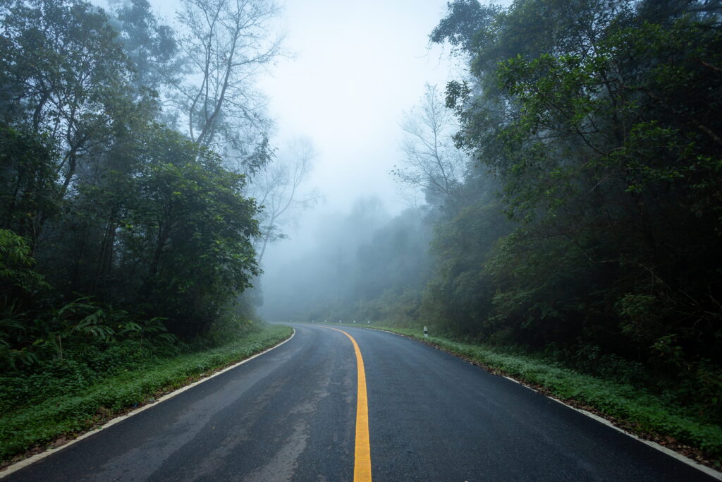 a dark, foggy road. 