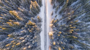 birdseye view of winter road with snow